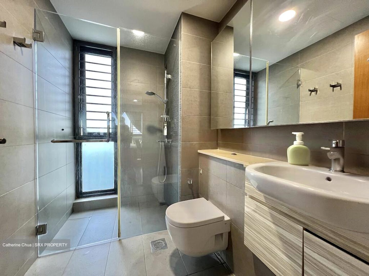 Waterbank at Dakota (D14), Condominium #563739811
